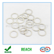 small size ring neodymium magnets on sale